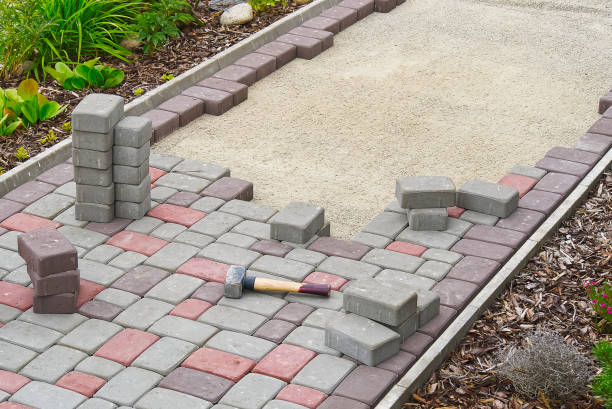 Best Local Driveway Pavers  in Glenwood, MN