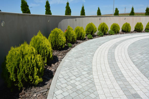 Best Interlocking Driveway Pavers  in Glenwood, MN